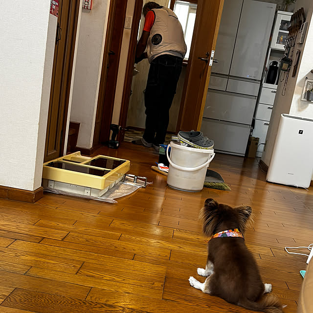 chIoeさんの部屋