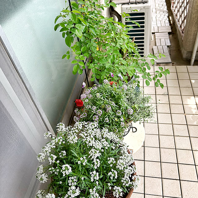 shabby666さんの部屋