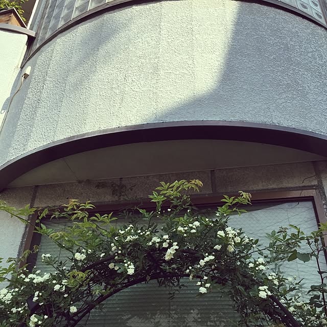 greenroseさんの実例写真