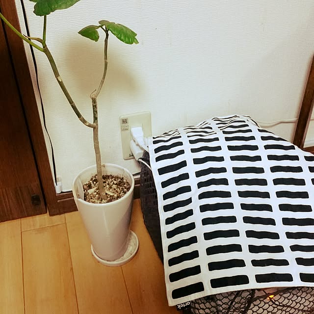 writer-machikaさんの実例写真