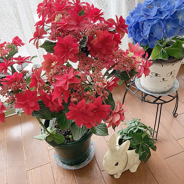 yukarinさんの実例写真