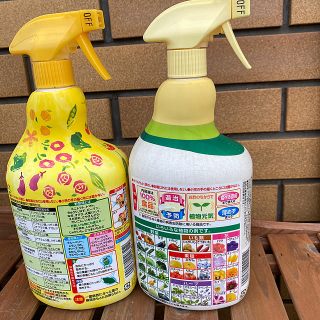 chIoeさんの部屋