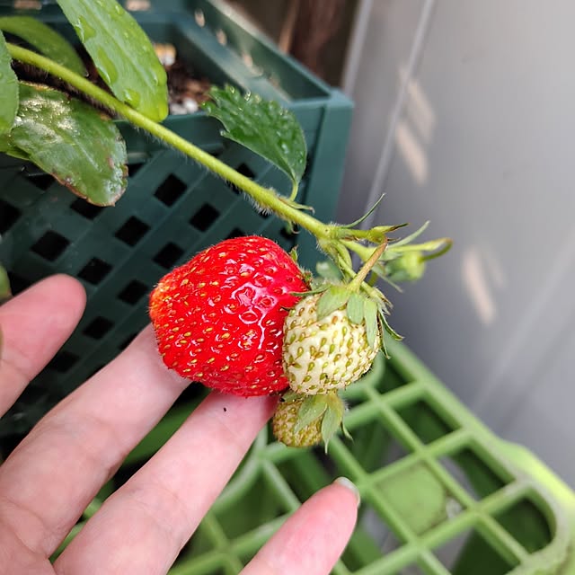 kiraさんの実例写真