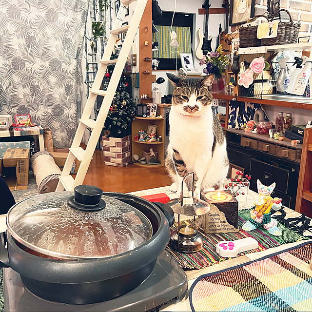 jijiさんの実例写真