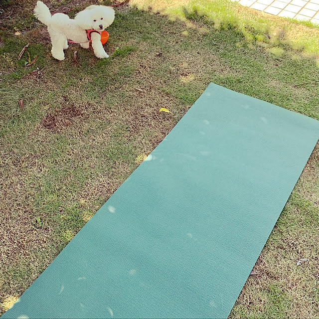 yucacocoさんの実例写真