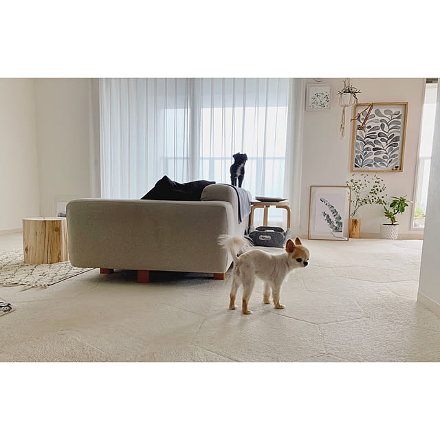 haruhinaさんの実例写真