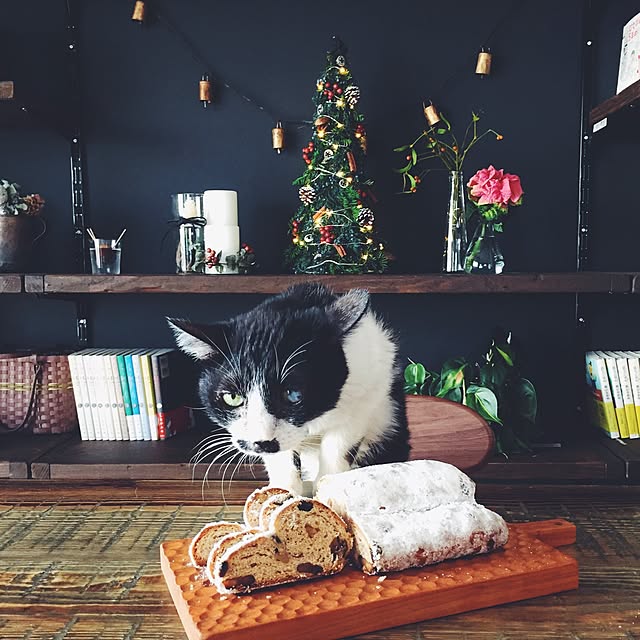 nekosanさんの実例写真