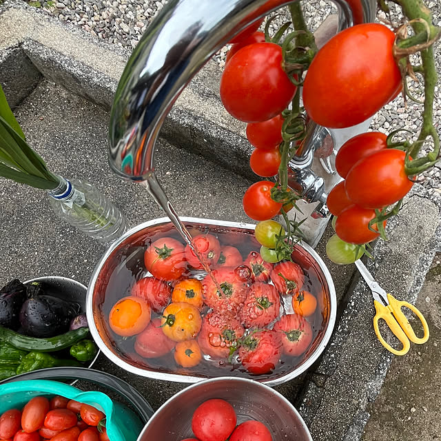 cotaさんの部屋