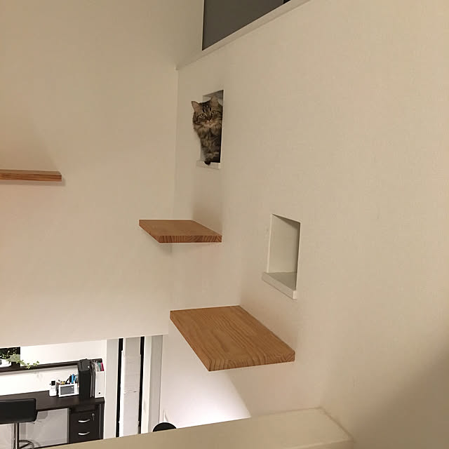 takiさんの実例写真