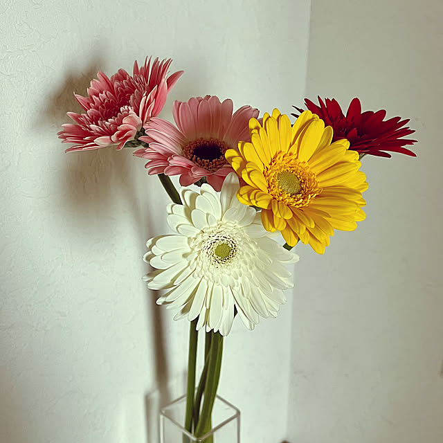 seiseiさんの実例写真