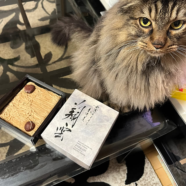 yukarin-gardenさんの部屋