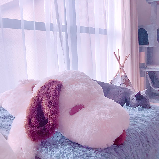 snoopyさんの実例写真
