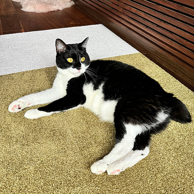 porinさんの部屋