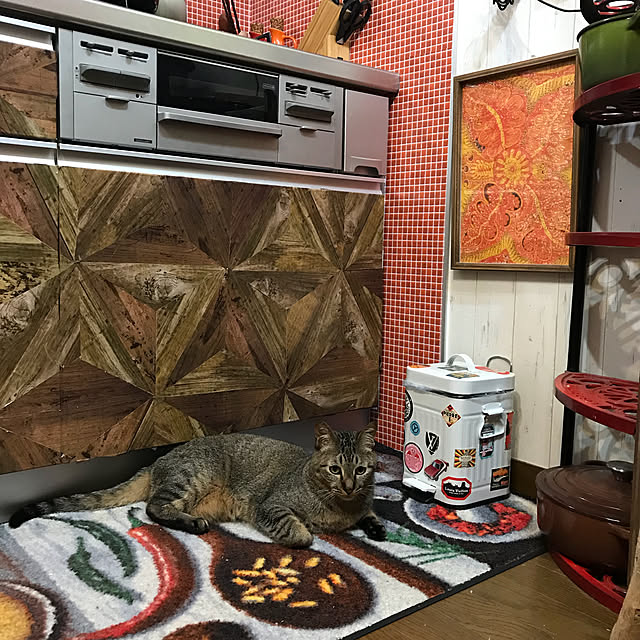pepeさんの実例写真