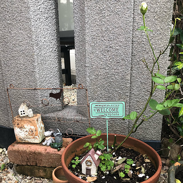 ronさんの実例写真