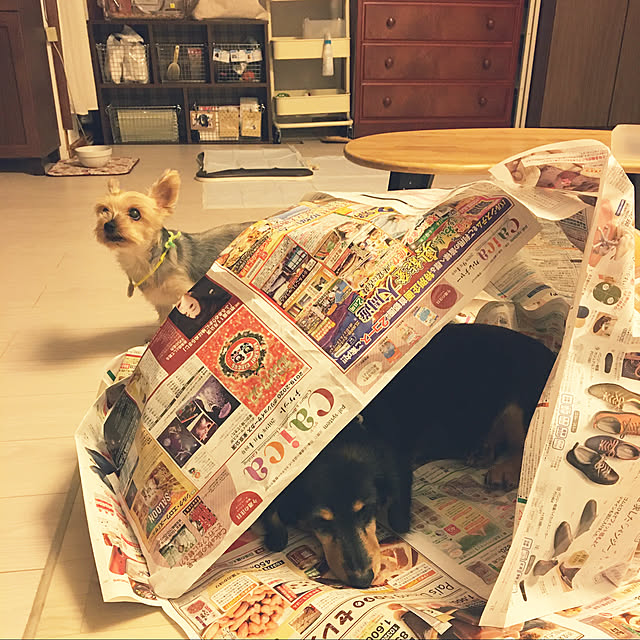 ohanaさんの実例写真
