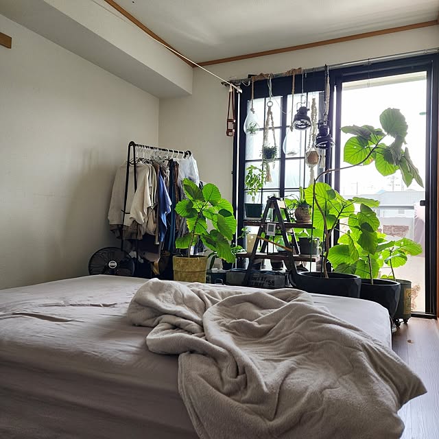 CYNOSさんの部屋