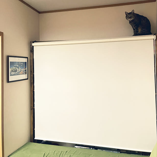 mikan161さんの実例写真