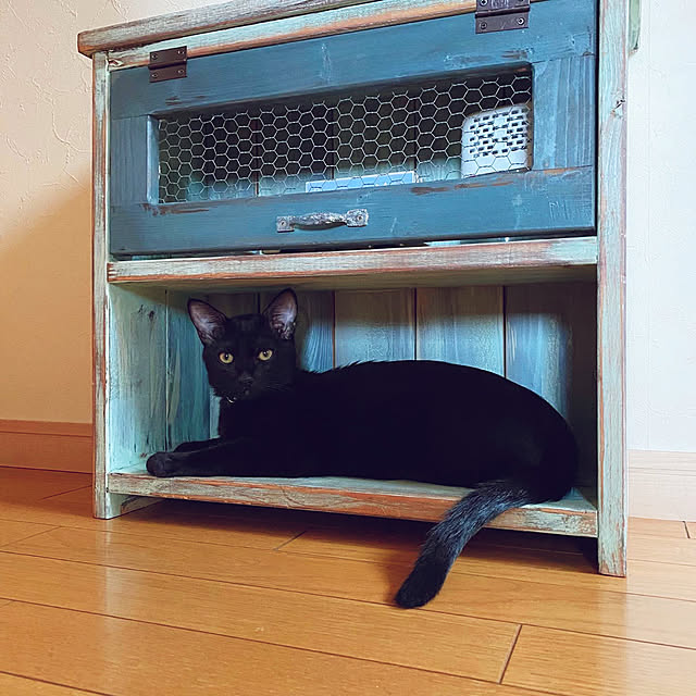 prelumoさんの実例写真