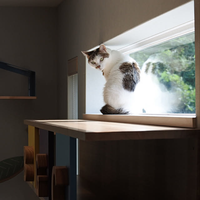 nyancohomeさんの実例写真