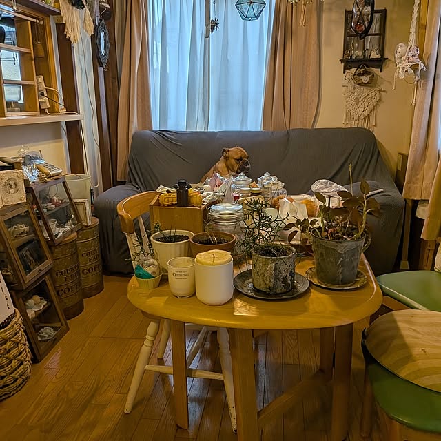 chi_gogaさんの部屋