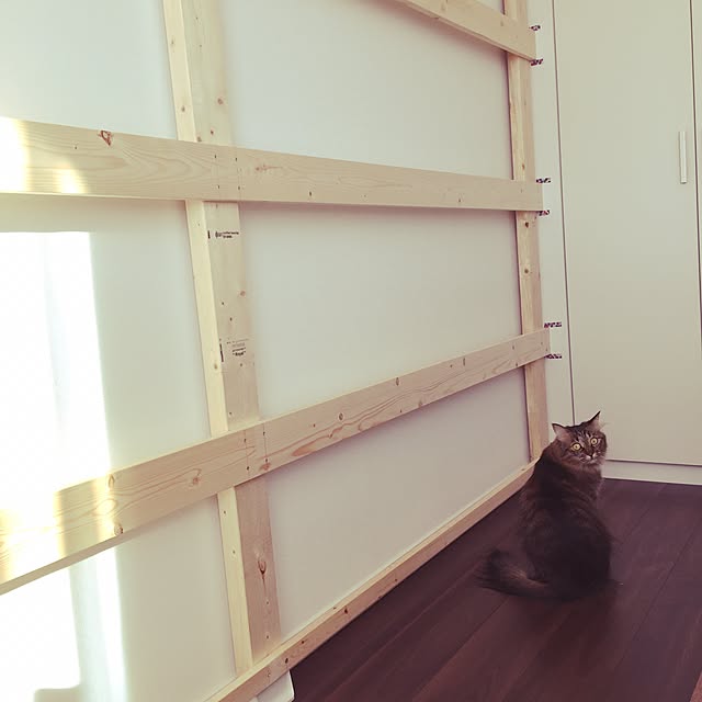 theo_nazcaさんの実例写真