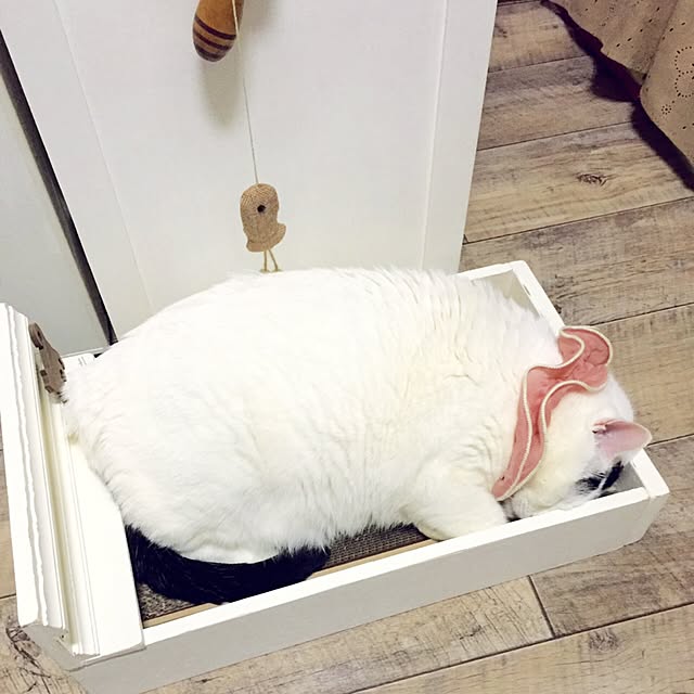 miさんの実例写真