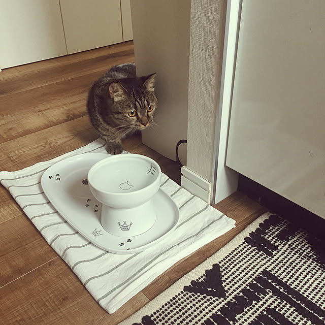 nocomomさんの実例写真