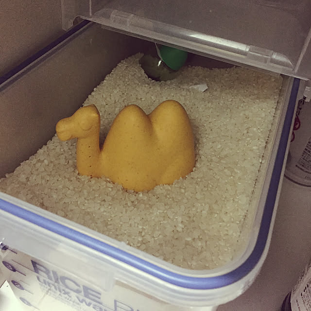 Ockunさんの実例写真