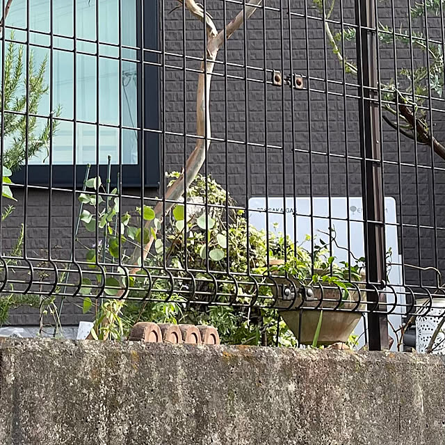 kikiさんの実例写真