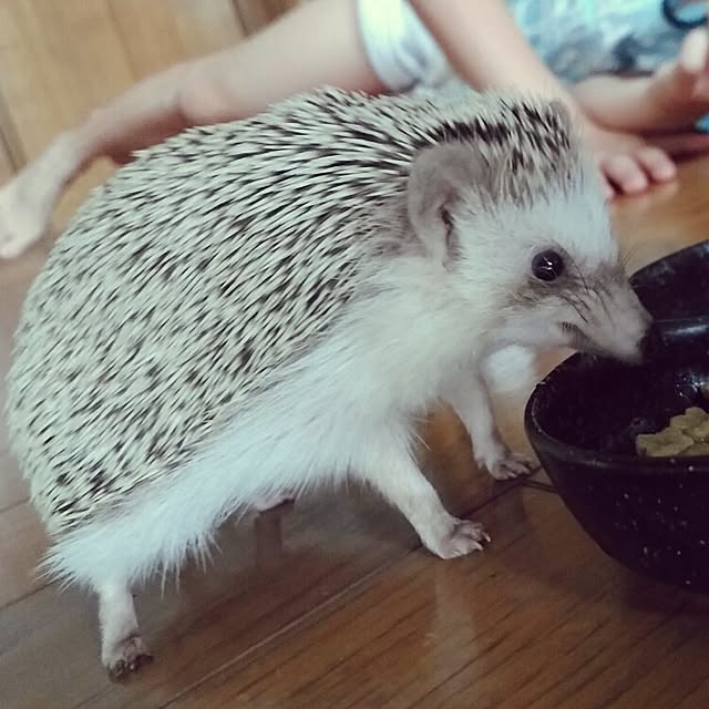 kuruさんの実例写真