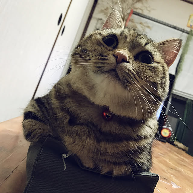 keibooさんの実例写真
