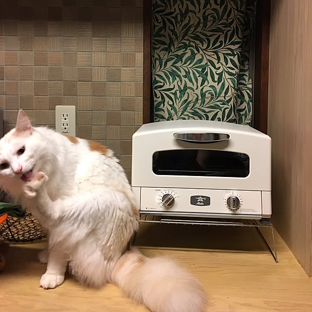 shigimiさんの実例写真