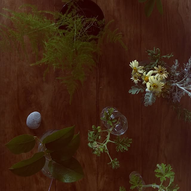 棚のインテリア実例 - 2015-04-12 10:50:21