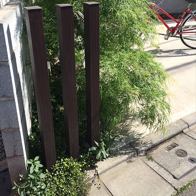 yasuyoさんの実例写真