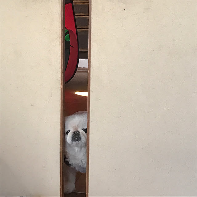 marimoさんの実例写真