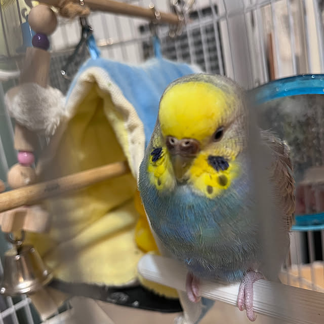 Atsukoさんの部屋