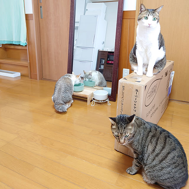 nachiさんの実例写真