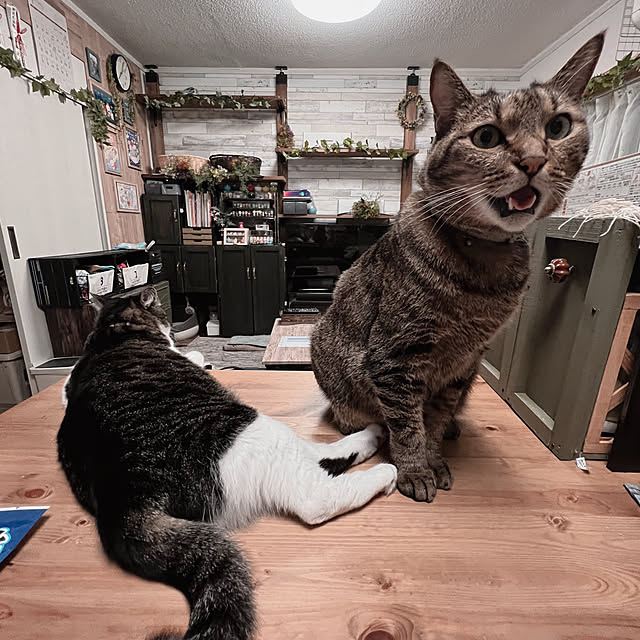 sumoanzuさんの実例写真