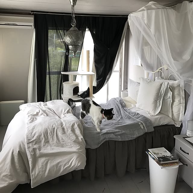 Shihoさんの実例写真
