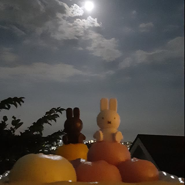 takayasuさんの実例写真