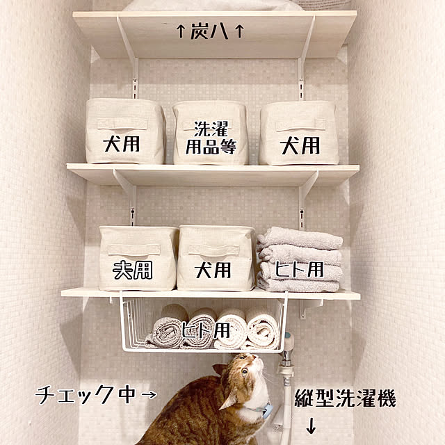 akitainu7さんの実例写真