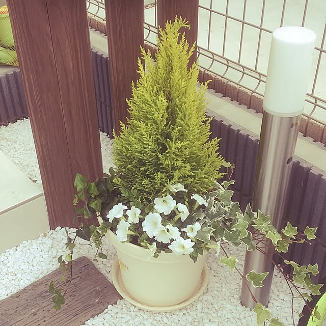 koukotomamaさんの実例写真