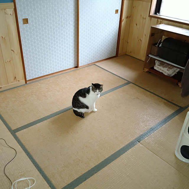 okyosan101さんの実例写真