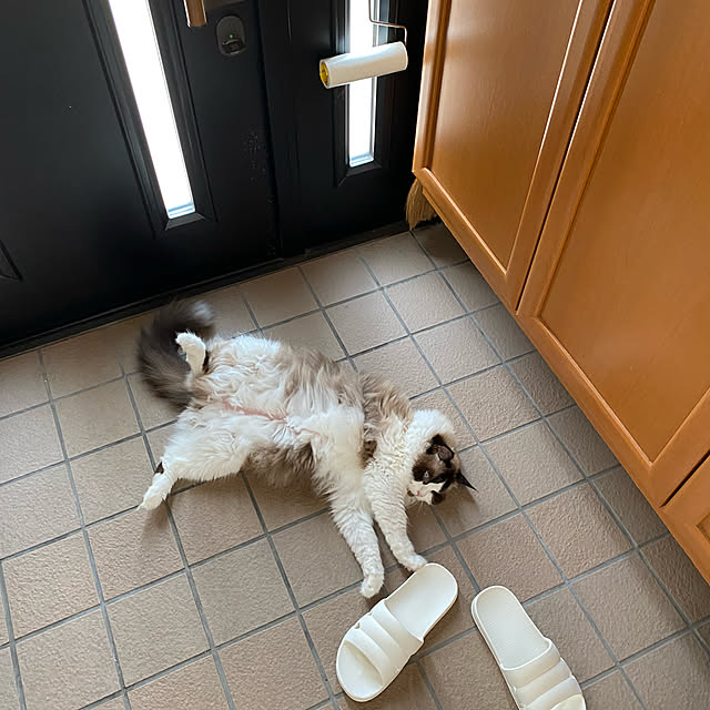 waonjjjjさんの実例写真