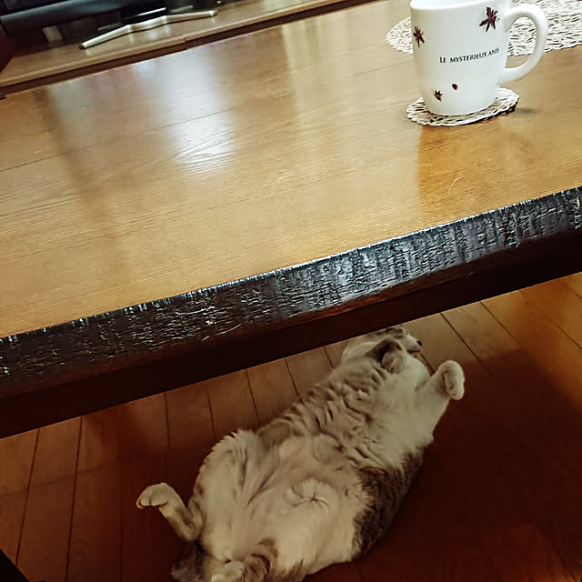 nachiさんの実例写真