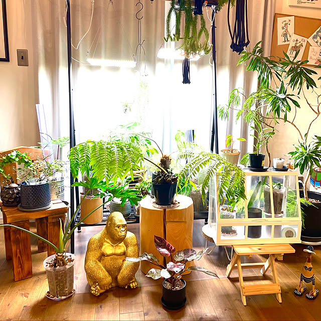 toystoryさんの部屋