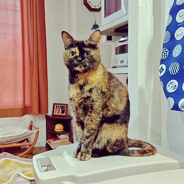 hirukumaさんの部屋