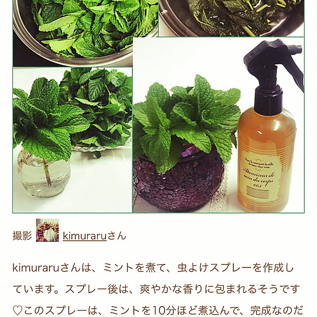 kimuraruさんの実例写真