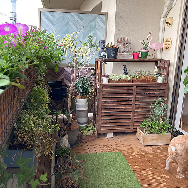 marukoさんの部屋